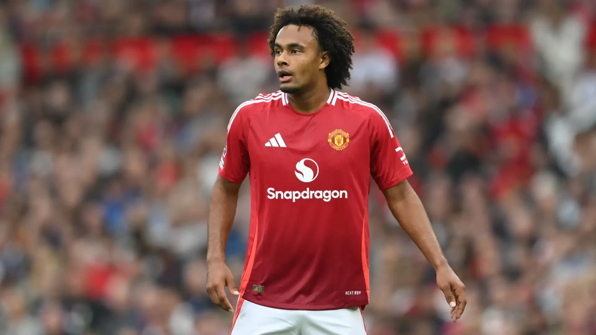 Mid-January Update: AS Roma Expects Joshua Zirkzee Arrival Once Amad Returns from AFCON Duty